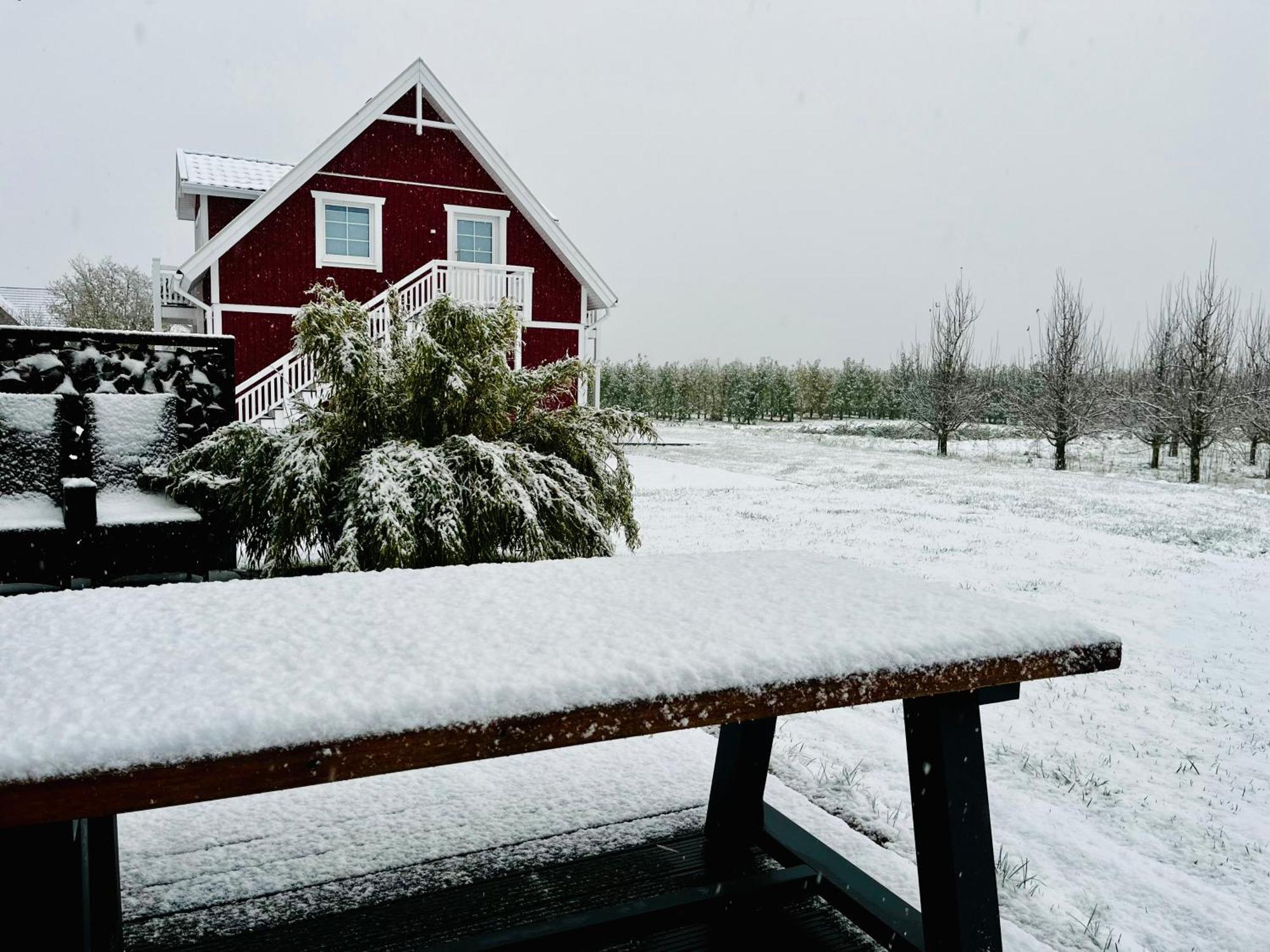 Muggelhuus Im Alten Land / Pflaumenbaum